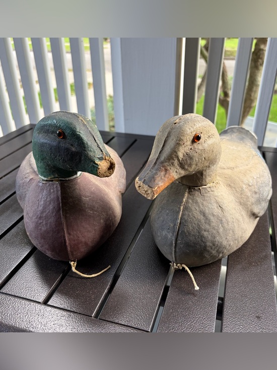 Animal Trap Company Other - Vtg Victor Veri-Lite Mallard Duck Decoy Mated Pair Glass Eyes Animal Trap Co PA
